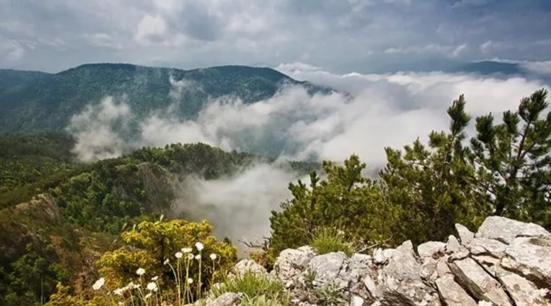 Project Work/Team Asenovgrad – Presenting Asenovgrad by Hristian Ushev - Ourboox.com