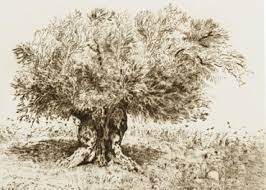 ספר המושגים שלנו by lilach koren - Ourboox.com