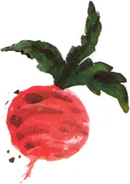 Дядо вади ряпа. by Cvetelina Petrova - Ourboox.com