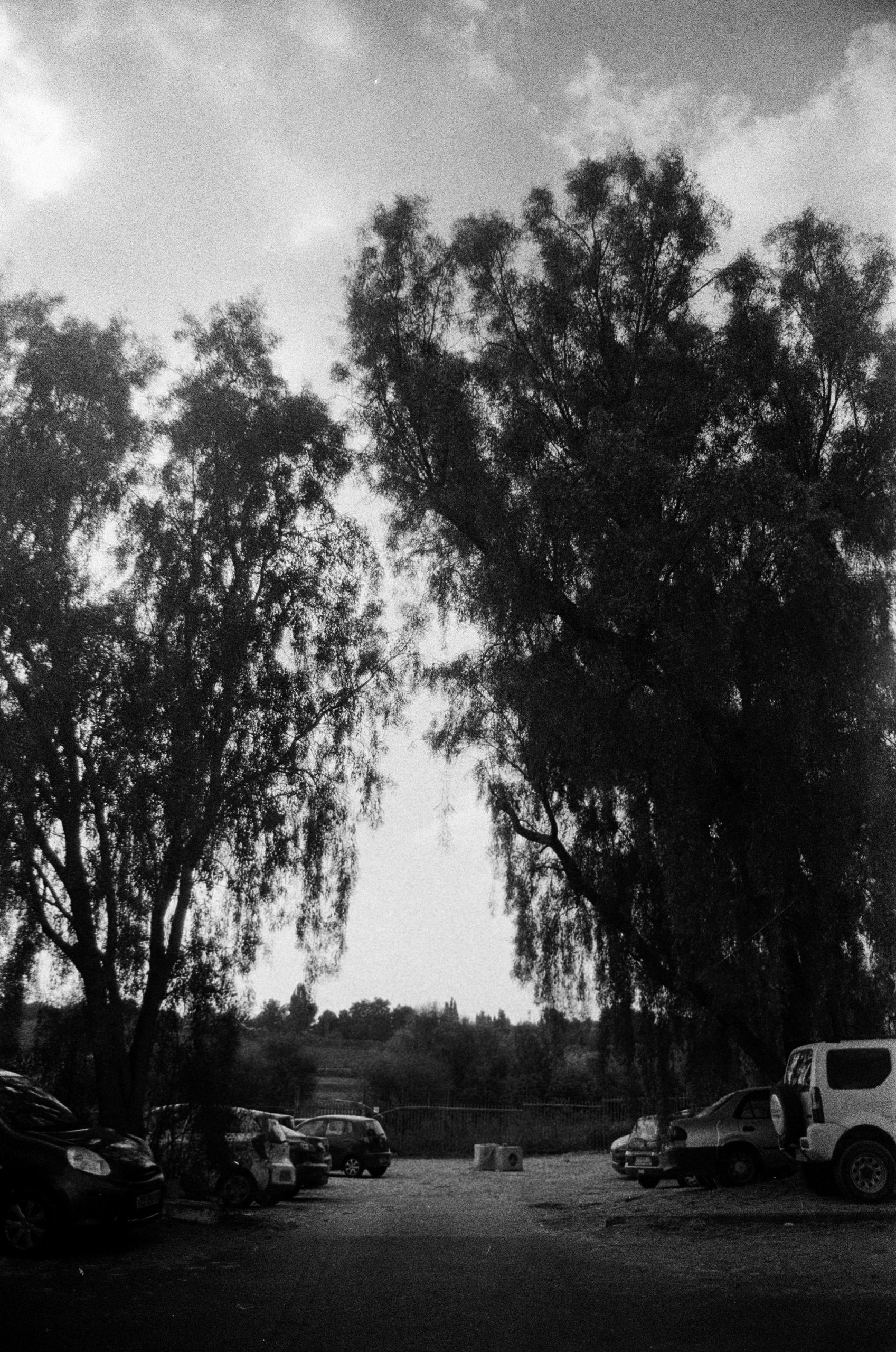 .nature stills by bar - Illustrated by bar fredi mor - Ourboox.com