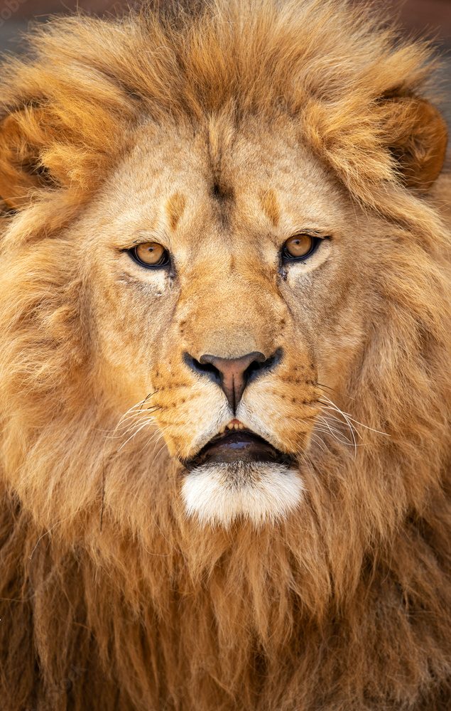 hghhgh by Nimer - Ourboox.com