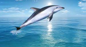 hghhgh by Nimer - Ourboox.com