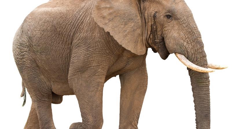 hghhgh by Nimer - Ourboox.com