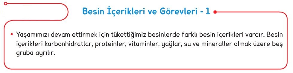 Besinlerimiz by lisansdermane - Illustrated by Ayşen ALTUN - Ourboox.com