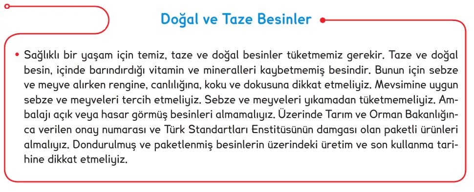 Besinlerimiz by lisansdermane - Illustrated by Ayşen ALTUN - Ourboox.com