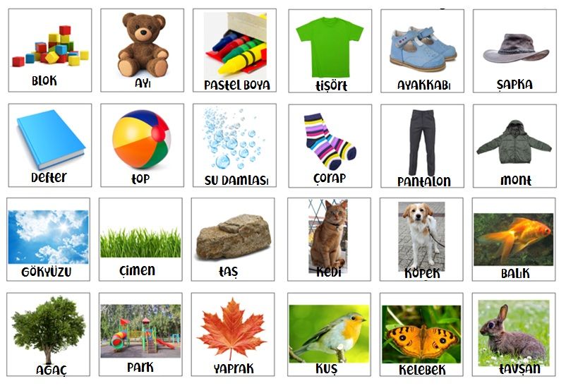 HAREKET VE KUVVET by seçil başaran - Illustrated by Seçil BAŞARAN - Ourboox.com