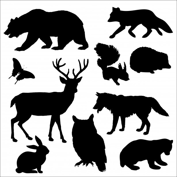 Les animaux de la forêt par les élèves de GS by sylvie - Ourboox.com