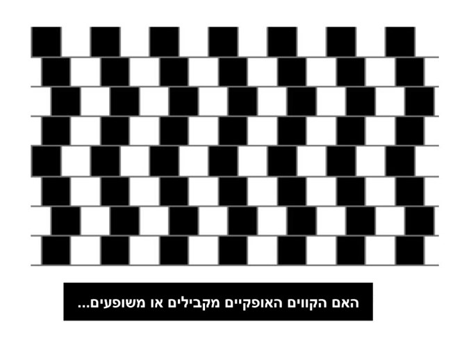 אשליות אופטיות by MORAN IFRACH - Ourboox.com