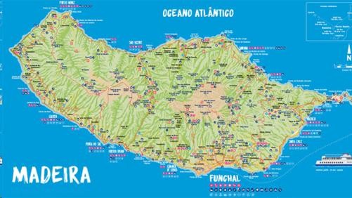 Funchal by Teodora Dimitrova Peikova (: - Illustrated by Teodora - Ourboox.com