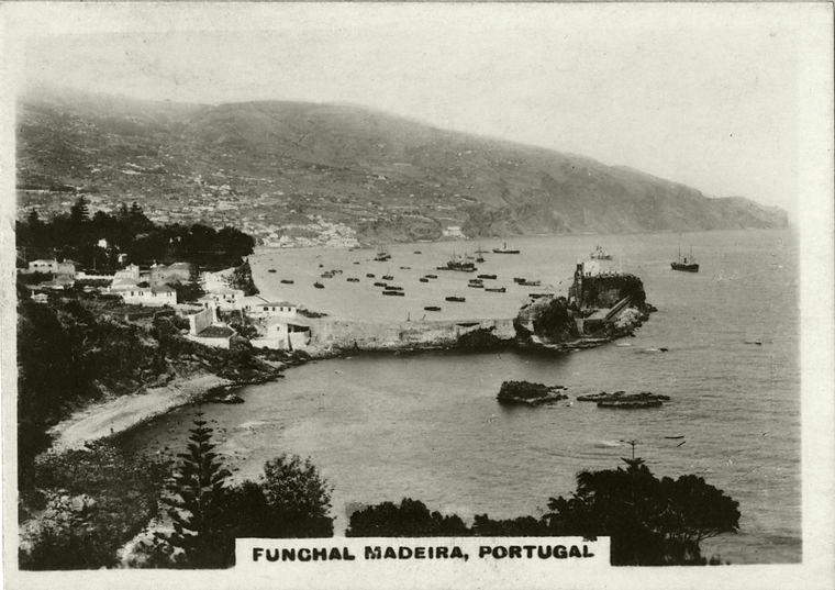 Funchal by Teodora Dimitrova Peikova (: - Illustrated by Teodora - Ourboox.com