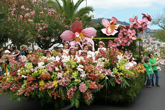 Funchal by Teodora Dimitrova Peikova (: - Illustrated by Teodora - Ourboox.com