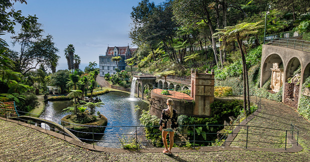 Funchal by Teodora Dimitrova Peikova (: - Illustrated by Teodora - Ourboox.com