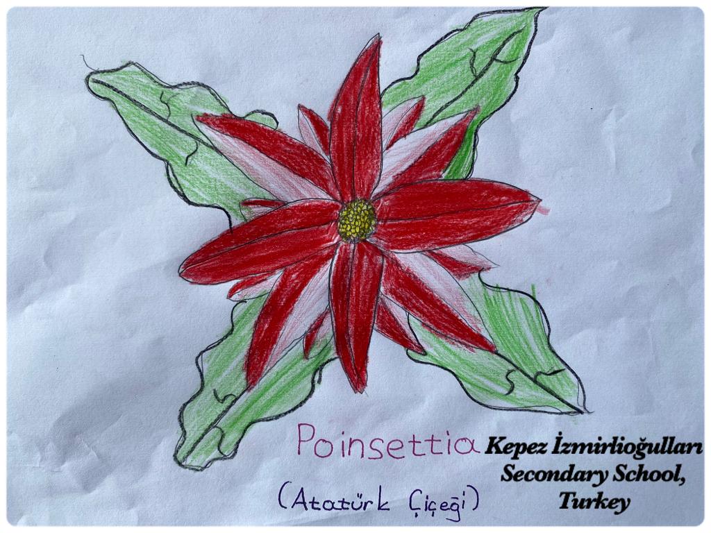 Christmas Dictionary by Holly Jolly Holiday - Dancer team - Ourboox.com