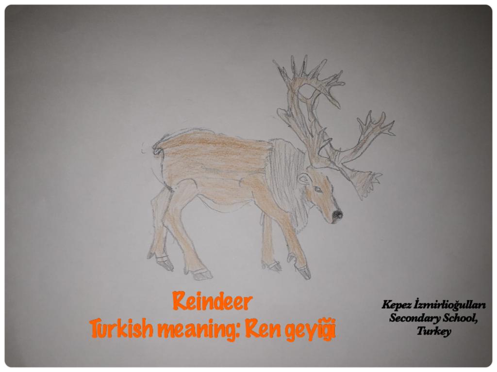 Christmas Dictionary by Holly Jolly Holiday - Dancer team - Ourboox.com