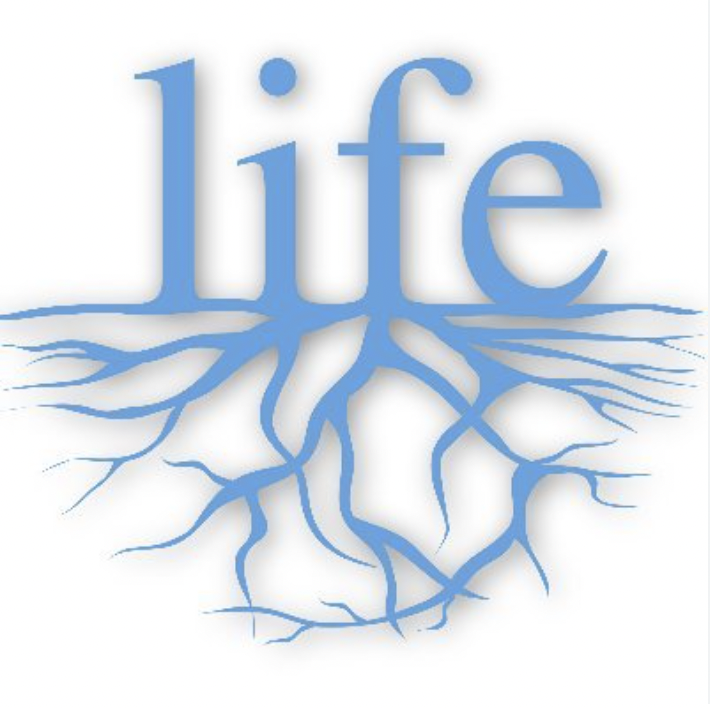 Count That Day Lost By: George Elliot (Mary Ann Evans) by Michelle Barth & Shifra Silverberg - Ourboox.com