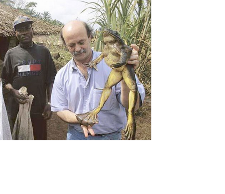 АМФІБІЇ by AndrianaSkilska - Ourboox.com