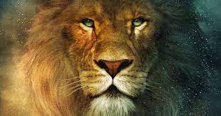 عالم الحيوانات by nadeen tayh - Ourboox.com