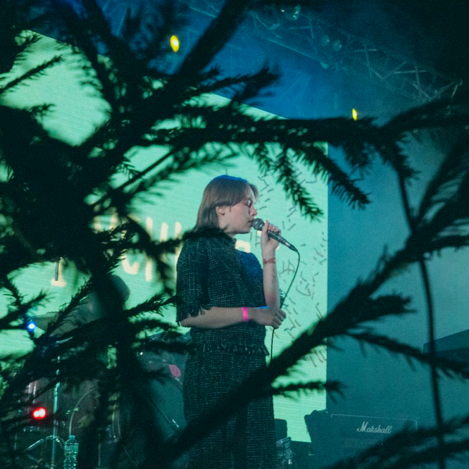 внимание брусника!