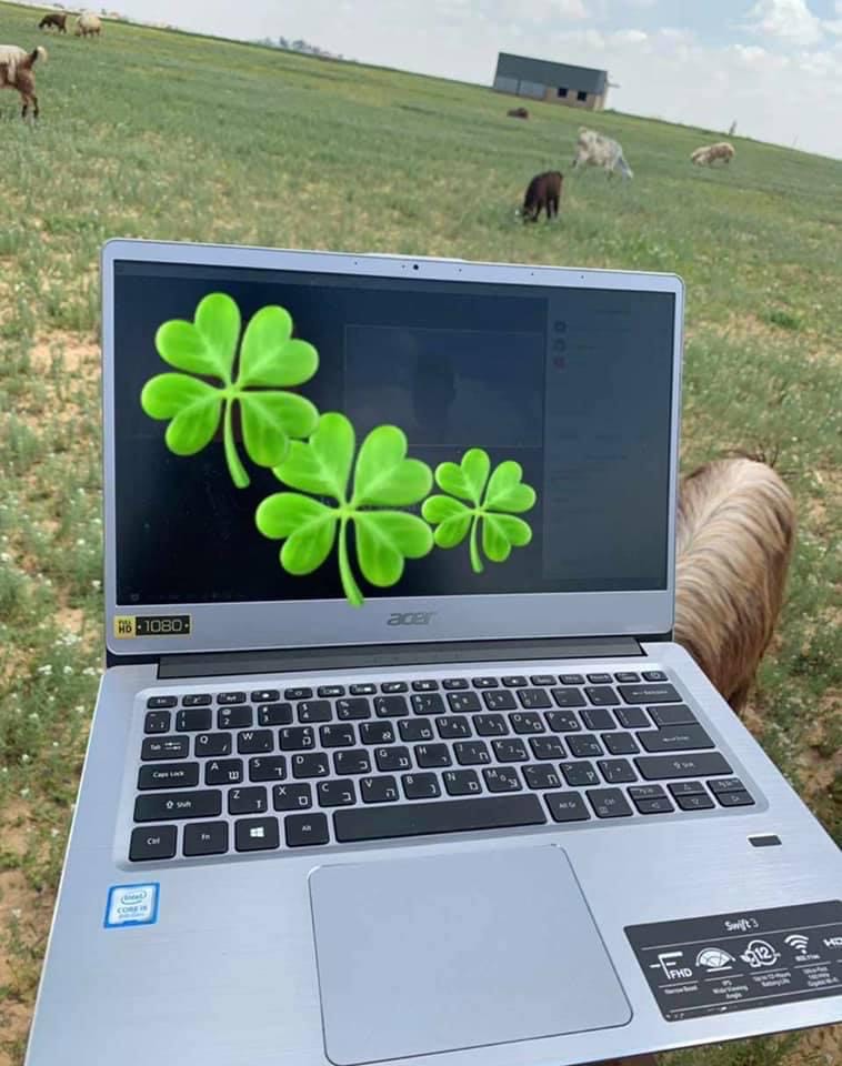 זאת תמונה מתקופה הקורונה לסטודנט בדואי שלומד באוניברסיטת בן גוריון ספרות אנגלית.