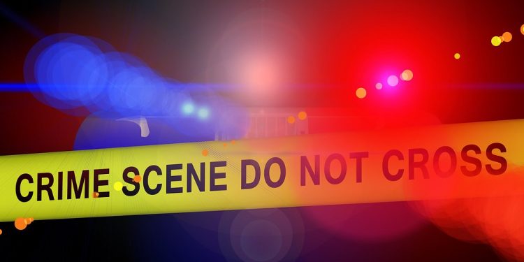 a scuola con il delitto by thomas petrone - Ourboox.com