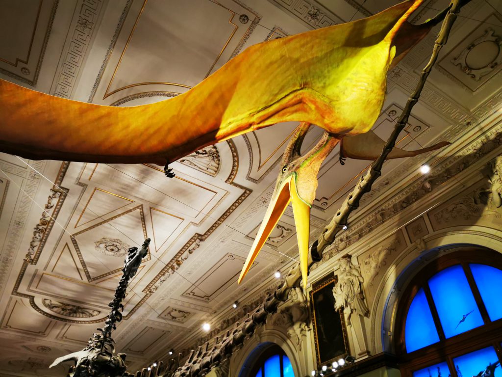 by lincor - Illustrated by pupils of 4A - Ourboox.com