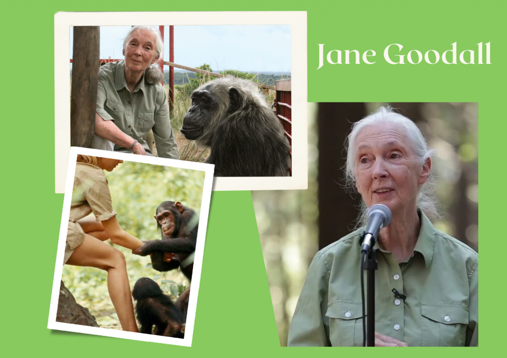 BOX OF INSPIRATIONS – International Day of Women and Girls in Science by Box Of Inspirations - Illustrated by ALL PARTNERS  OF BOX OF INSPIRATIONS - Ourboox.com