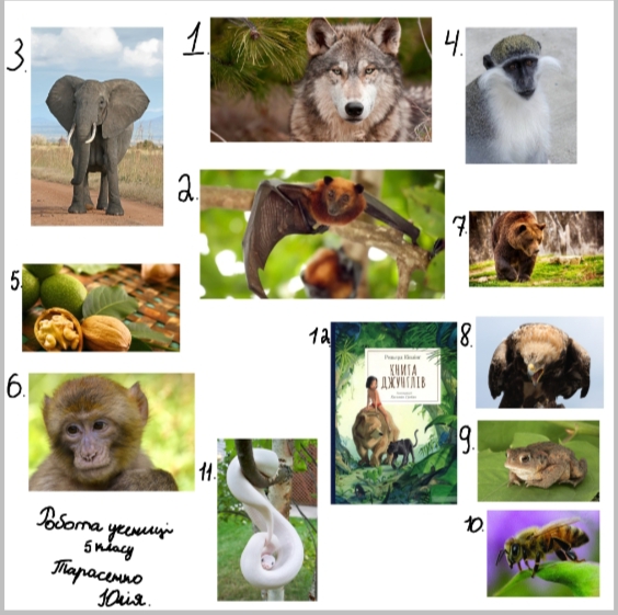 Казку Р.Кіплінга “Мауглі”вивчаємо з учнями 5 класу by Valentina - Ourboox.com