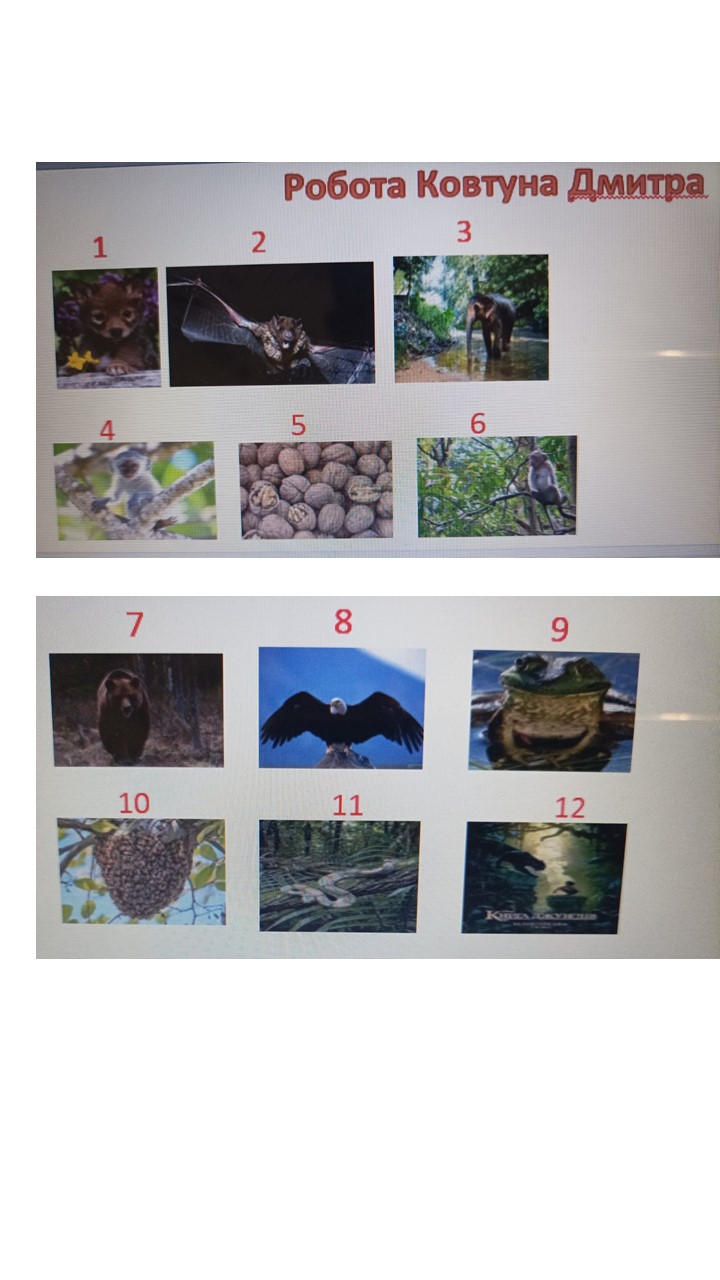 Казку Р.Кіплінга “Мауглі”вивчаємо з учнями 5 класу by Valentina - Ourboox.com