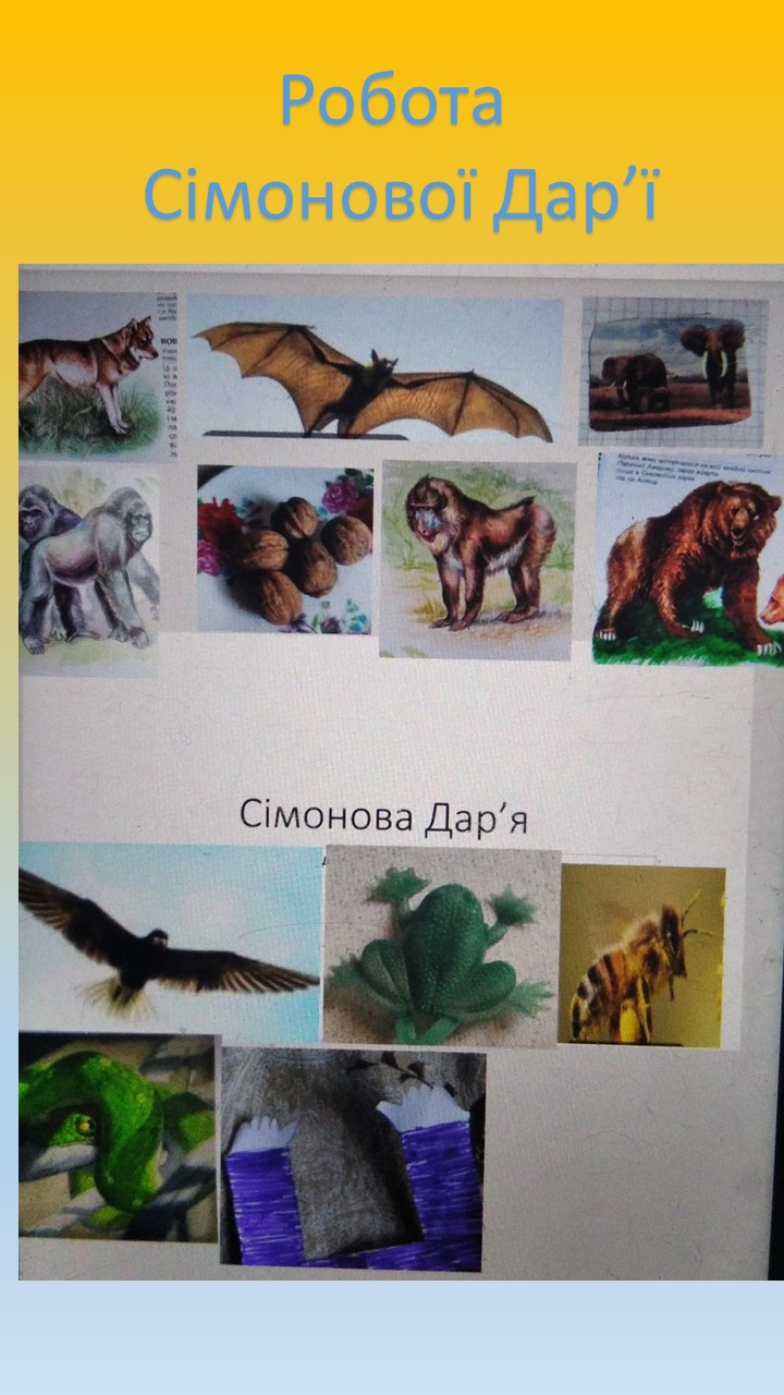 Казку Р.Кіплінга “Мауглі”вивчаємо з учнями 5 класу by Valentina - Ourboox.com