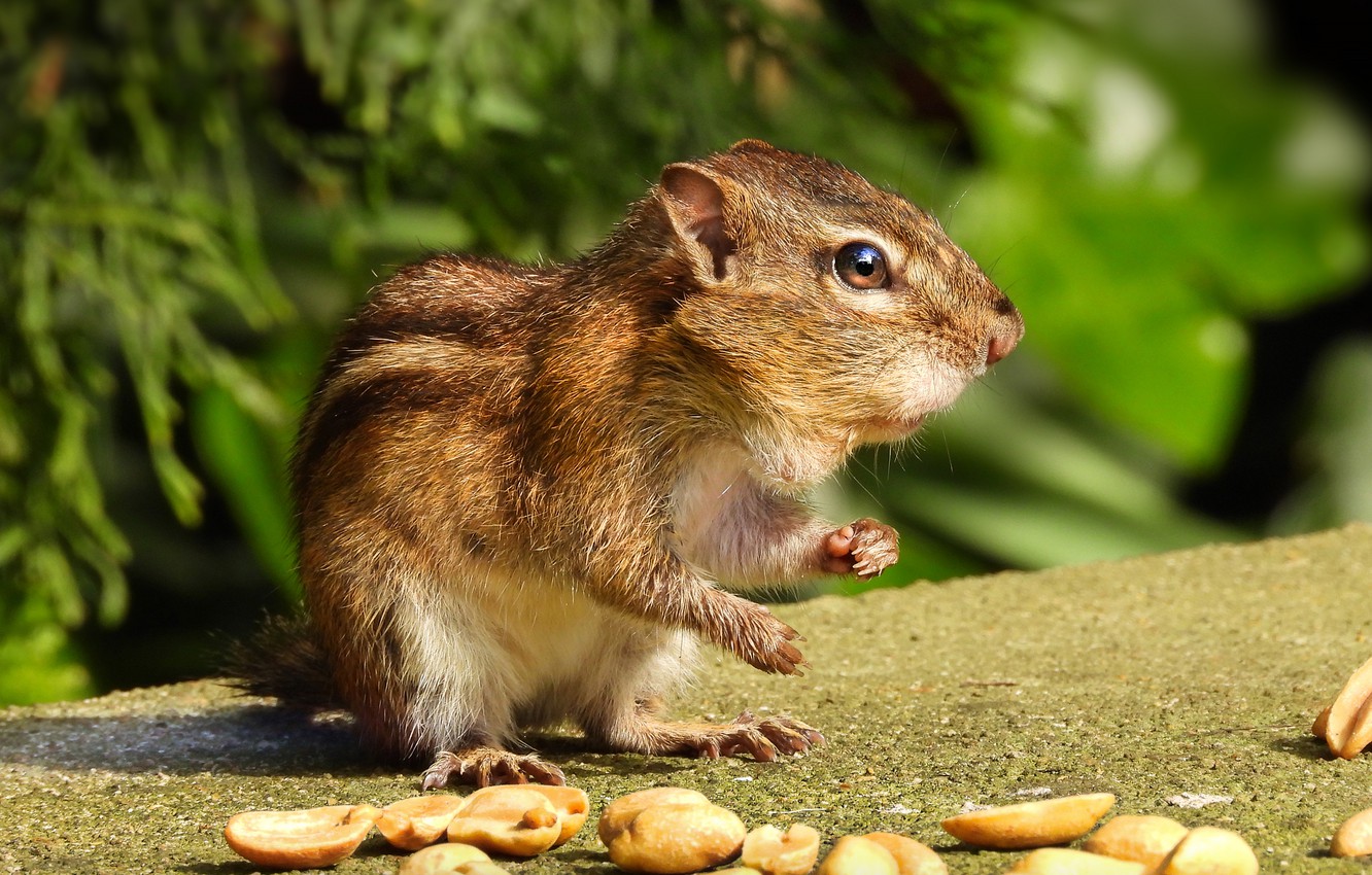 Сміливі завжди мають щастя by Korchykova Margarita - Ourboox.com