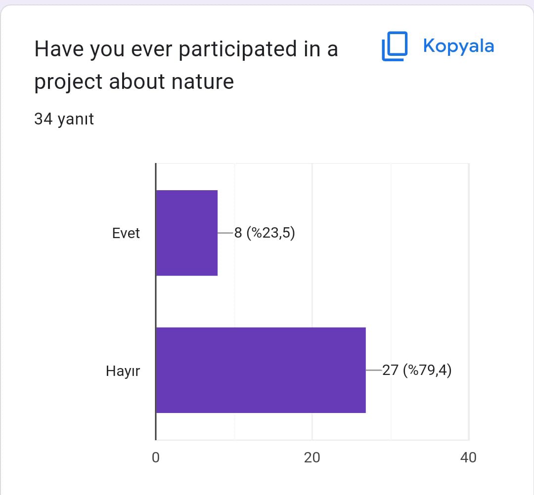 ECO FRİENDLY by sevgi - Ourboox.com