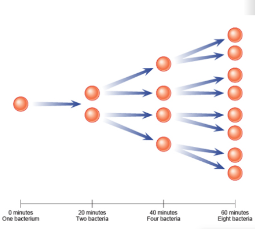 Прогресии – задачи за практическо приложение by Todor Orozov - Ourboox.com