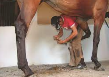 Прогресии – задачи за практическо приложение by Todor Orozov - Ourboox.com