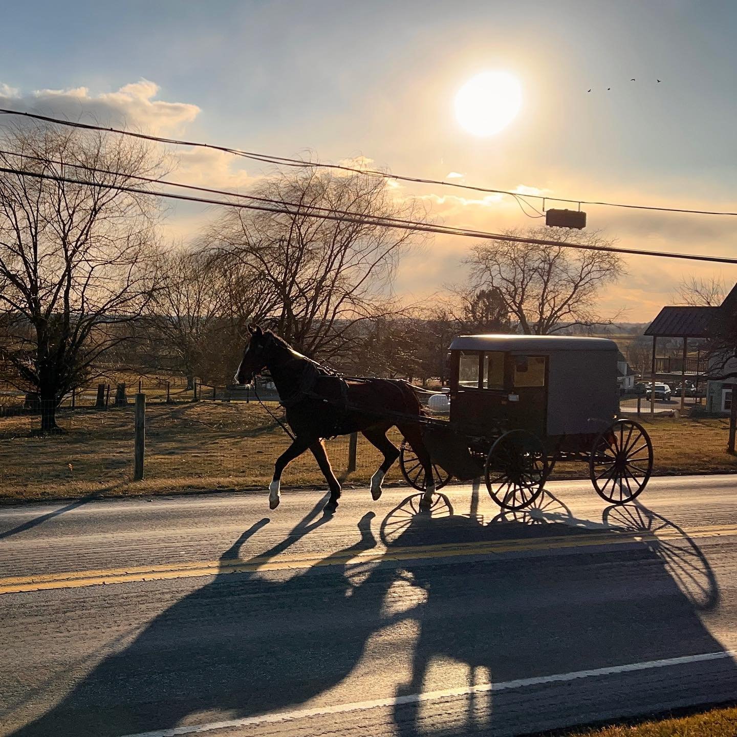 the Amish by tzofia - Ourboox.com