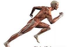 Фізичні якості by Orlova Svitlana - Ourboox.com