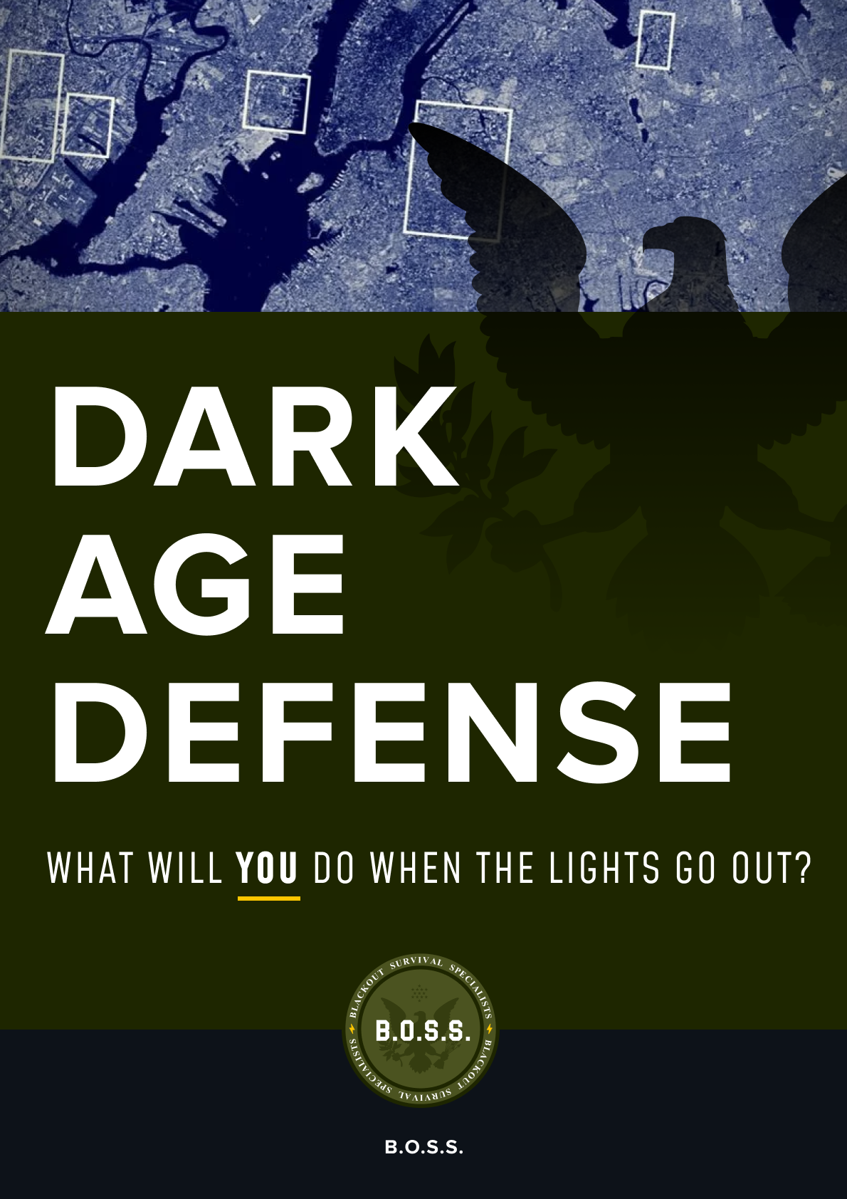 Dark Age Defense Book by Dark Age Defense - Ourboox.com