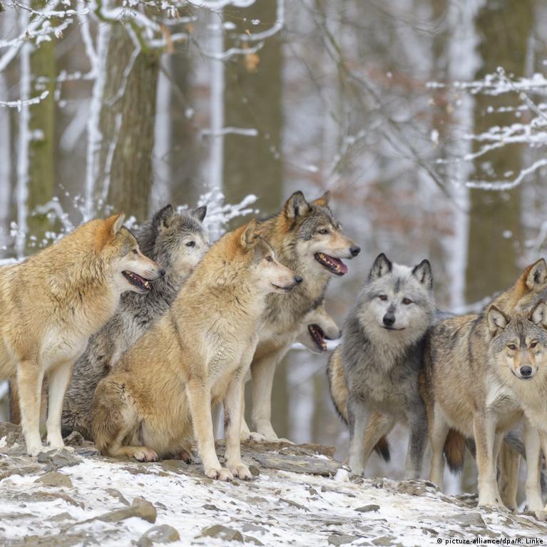 english by roy dude - Ourboox.com