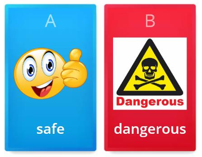 Safe or Dangerous by Amit Alon - Ourboox.com