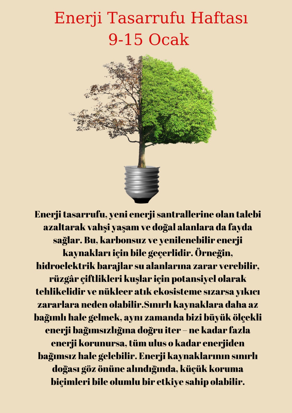 Sancaktepenin Keşif Gezegeni 13. Sayı by Keşif Gezegeni - Ourboox.com