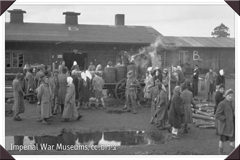דליה גביש by tal batstein - Illustrated by טל בטשטיין דנה אמציה ובר רווה - Ourboox.com