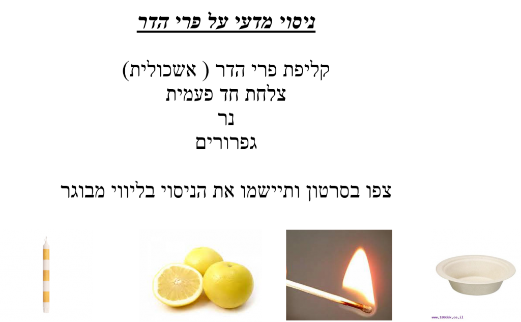 פרי הדר by ashwaqwatted - Illustrated by ashwaq watted & ahmed qeadan - Ourboox.com