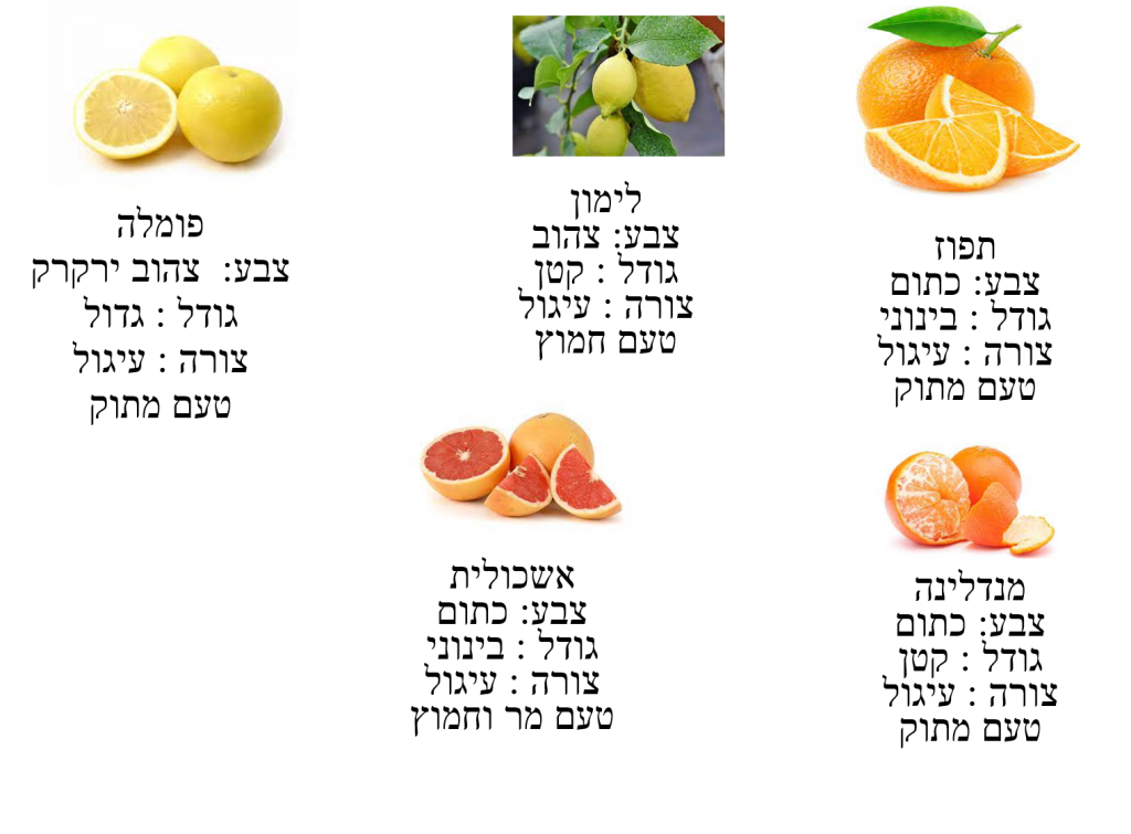 פרי הדר by ashwaqwatted - Illustrated by ashwaq watted & ahmed qeadan - Ourboox.com