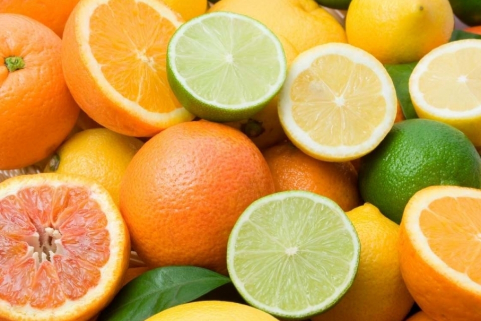 פרי הדר by safa azbarka - Ourboox.com