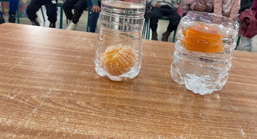 פרי הדר by safa azbarka - Ourboox.com