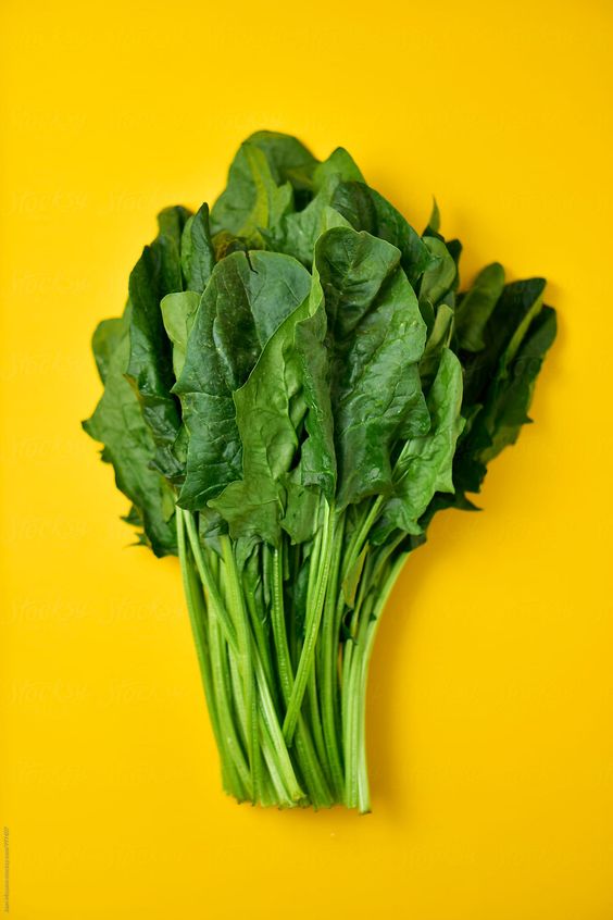 PRO харчування by Yaroslava Goncharuk - Ourboox.com