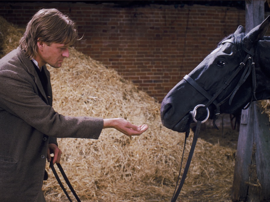 Black Beauty by baraa zaben - Ourboox.com