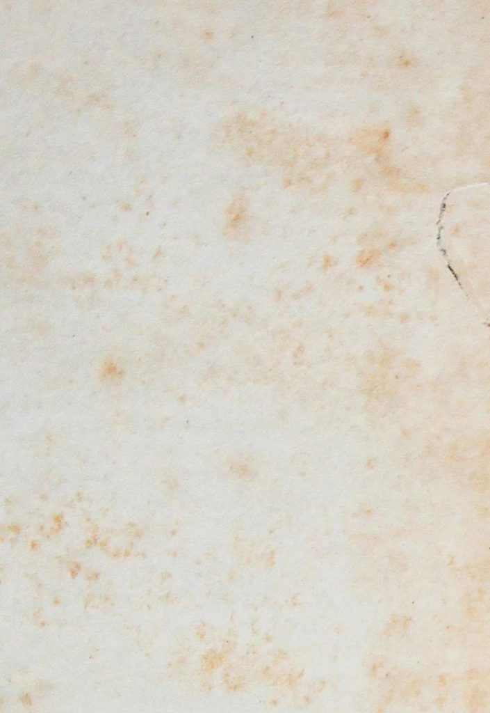 אלבום הזיכרונות של זלדה by yali ben dahan - Ourboox.com