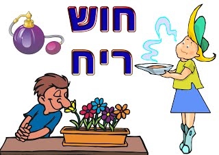 חמשת החושים by Anwar abu ajaj - Ourboox.com