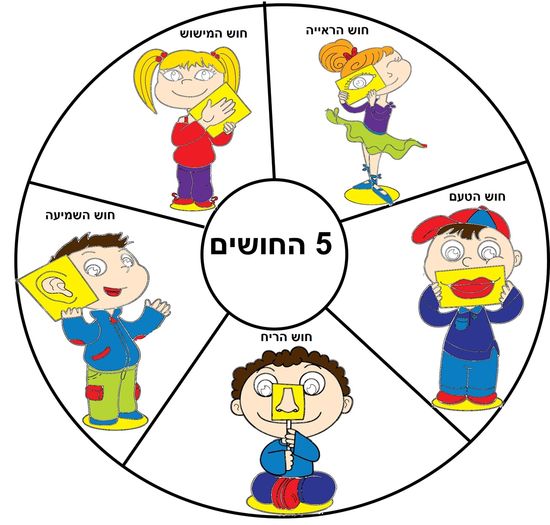 חמשת החושים by Anwar abu ajaj - Ourboox.com