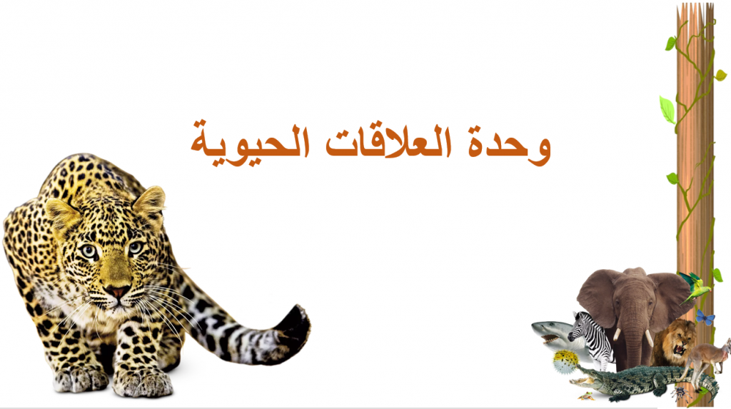 وحدة العلاقات الحيوية by webzd - Ourboox.com